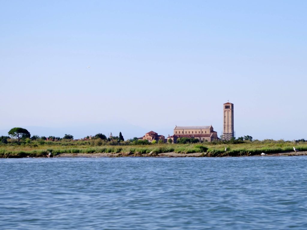 Le isole della laguna dove è possibile fruire del “birdwatching” sono due: Torcello e Sant’Erasmo.